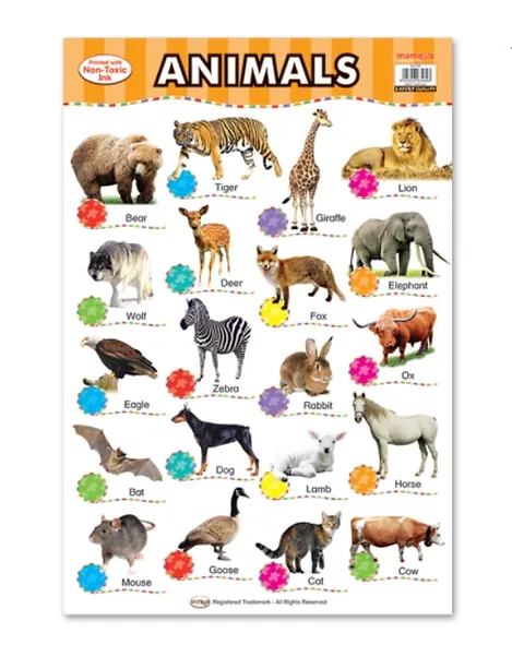 Wall ChartAnimals  Buy in Multiples of 12 